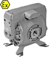 Directflo DF250 Luchtaangedreven Membraanpomp 250 l/min 11/2 BSP 8 bar